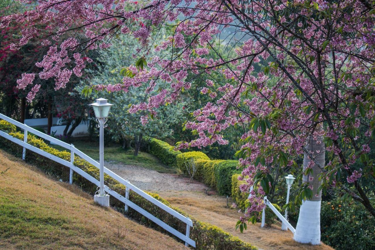 Pousada Sonho Meu Itanhandu Exterior foto